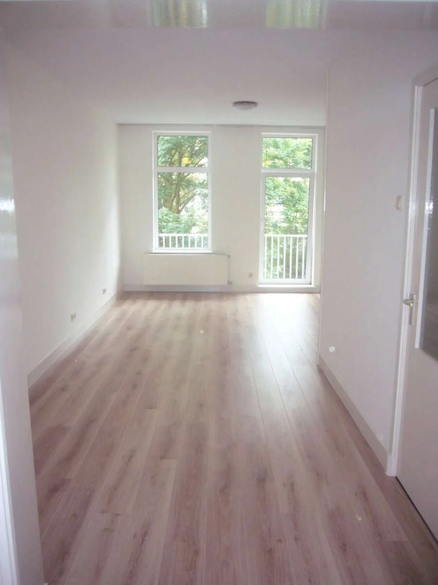 Foto van de Appartement gelegen aan de Tweede Jan Steenstraat in Amsterdam