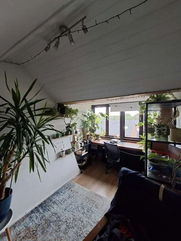 Foto van de Kamer gelegen aan de Johan de Wittlaan in Arnhem