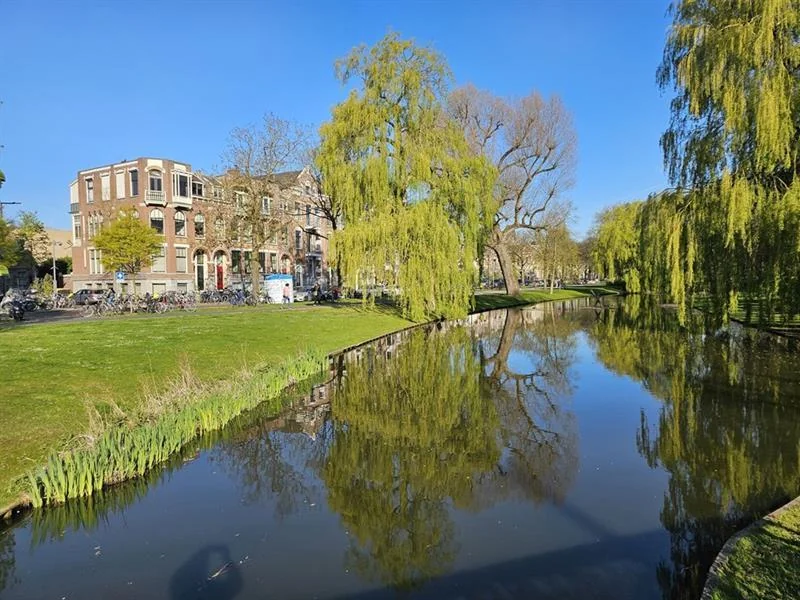 Foto van de Appartement gelegen aan de Lumeystraat in Rotterdam