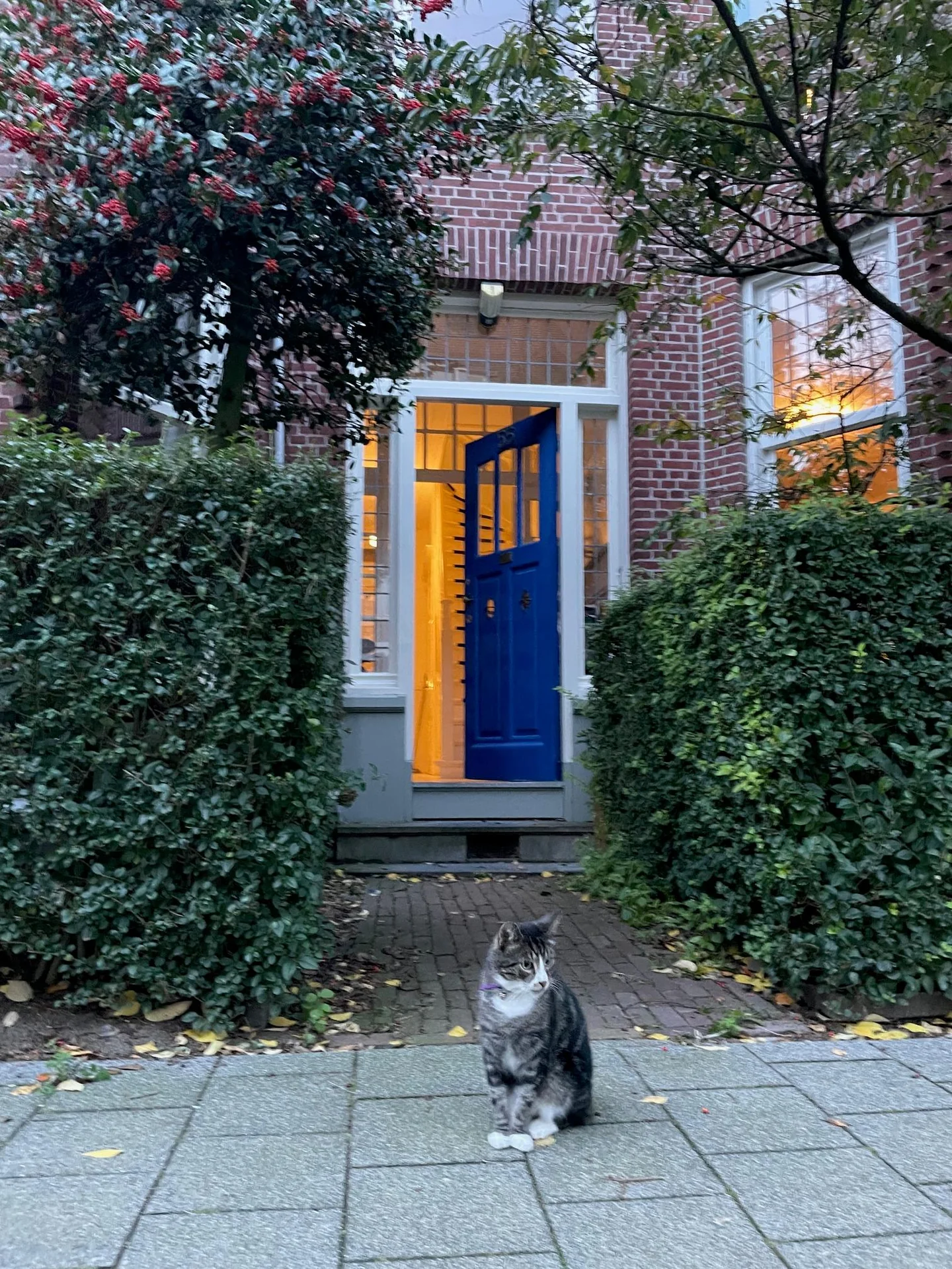 Foto van de Kamer gelegen aan de Beatrijsstraat in Rotterdam