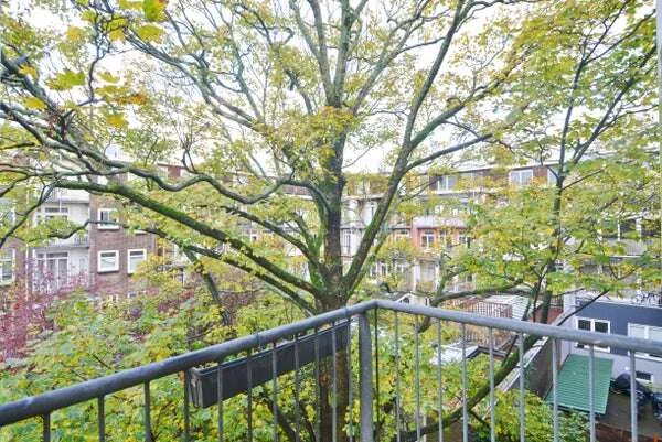 Foto van de Appartement gelegen aan de Nova Zemblastraat in Amsterdam