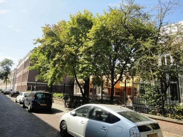 Foto van de Appartement gelegen aan de Van Speijkstraat in Den Haag