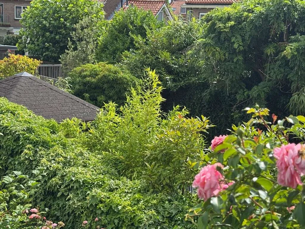 Foto van de Appartement gelegen aan de Prinses Beatrixlaan in Ouderkerk aan de Amstel