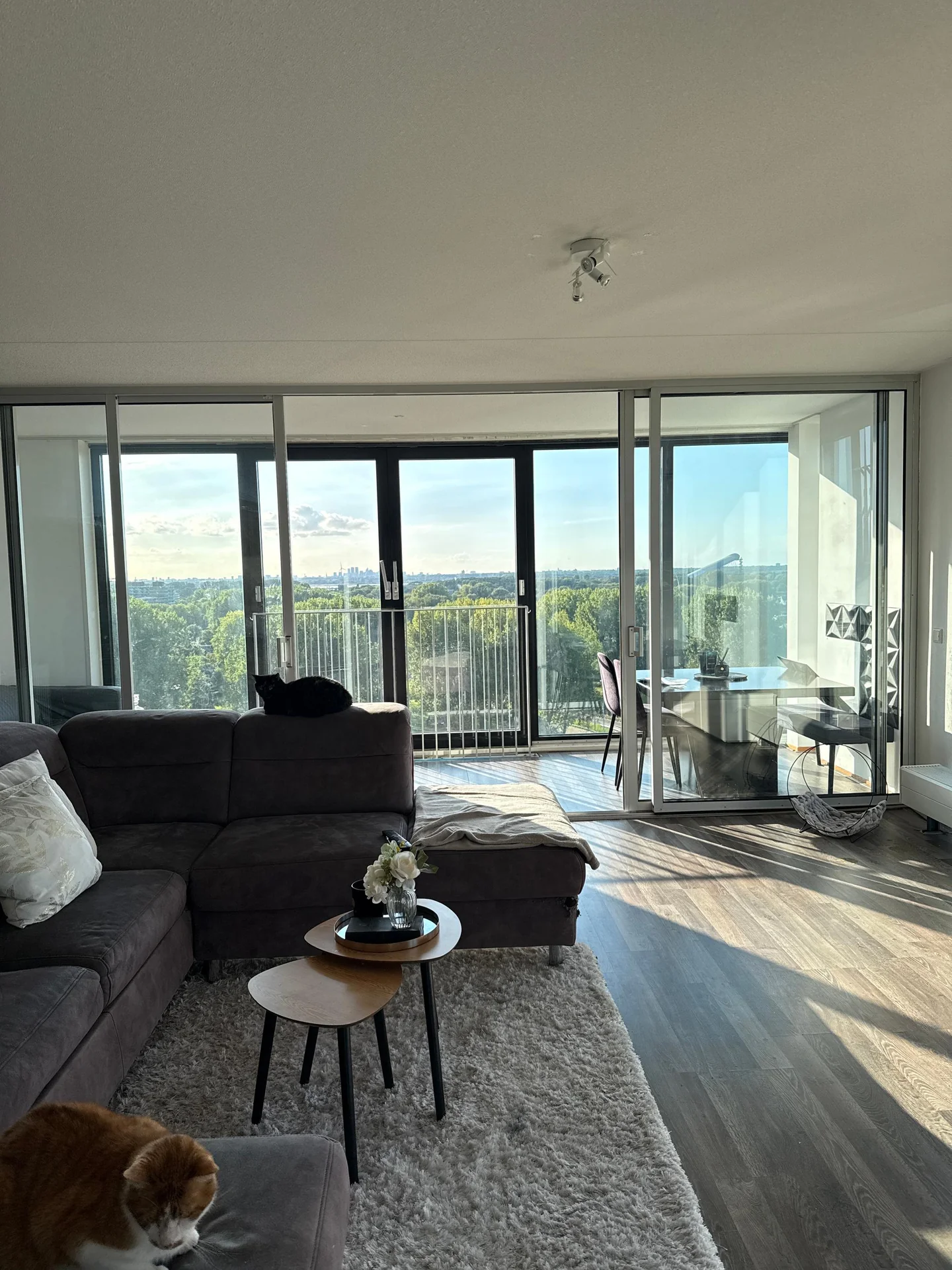 Foto van de Kamer gelegen aan de Nederlandlaan in Zoetermeer