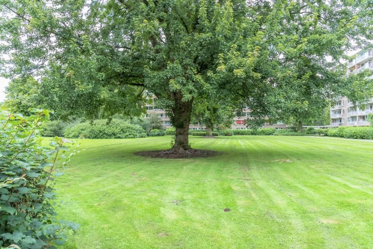 Foto van de Appartement gelegen aan de Adriaan Dortsmanstraat in Rotterdam