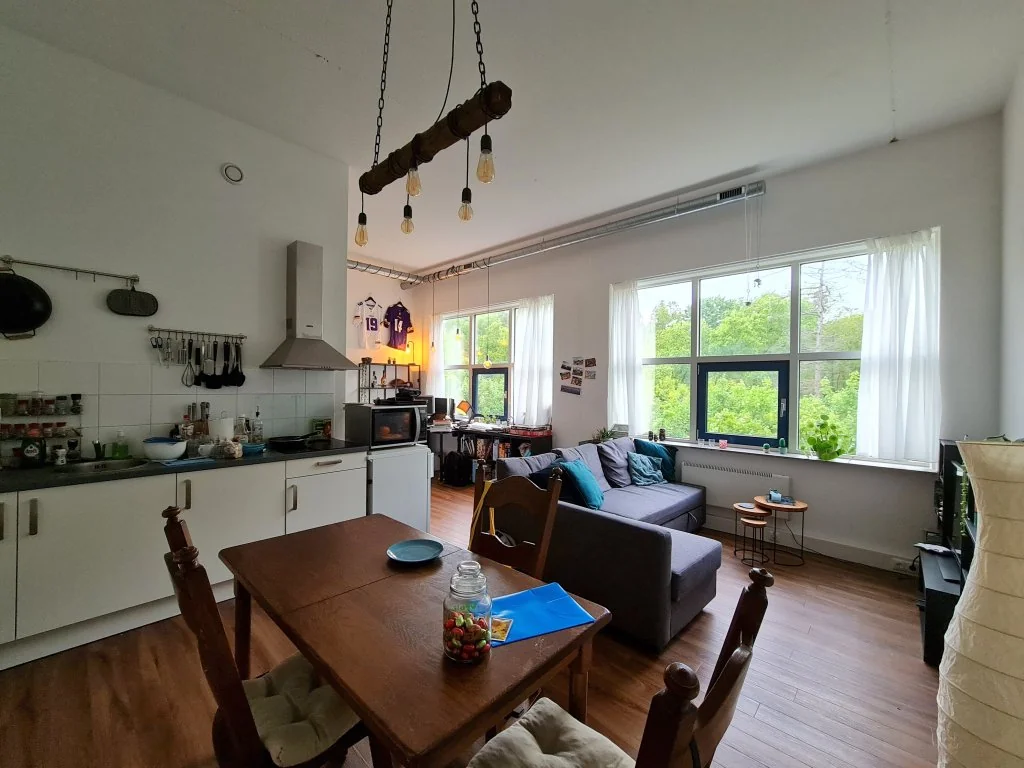 geblurde versie van de foto als achtergrond