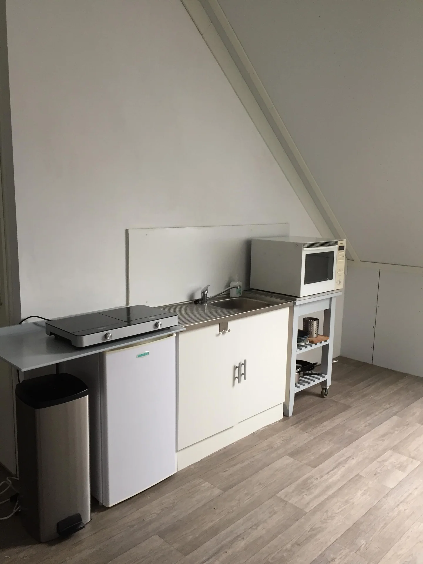 Foto van de Kamer gelegen aan de Leonard Springerlaan in Haarlem