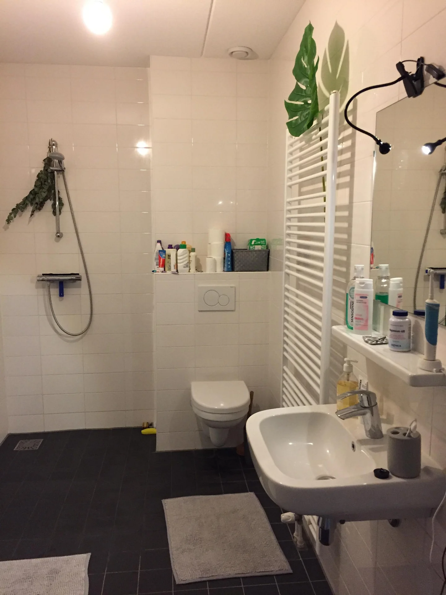 Foto van de Kamer gelegen aan de Leonard Springerlaan in Haarlem