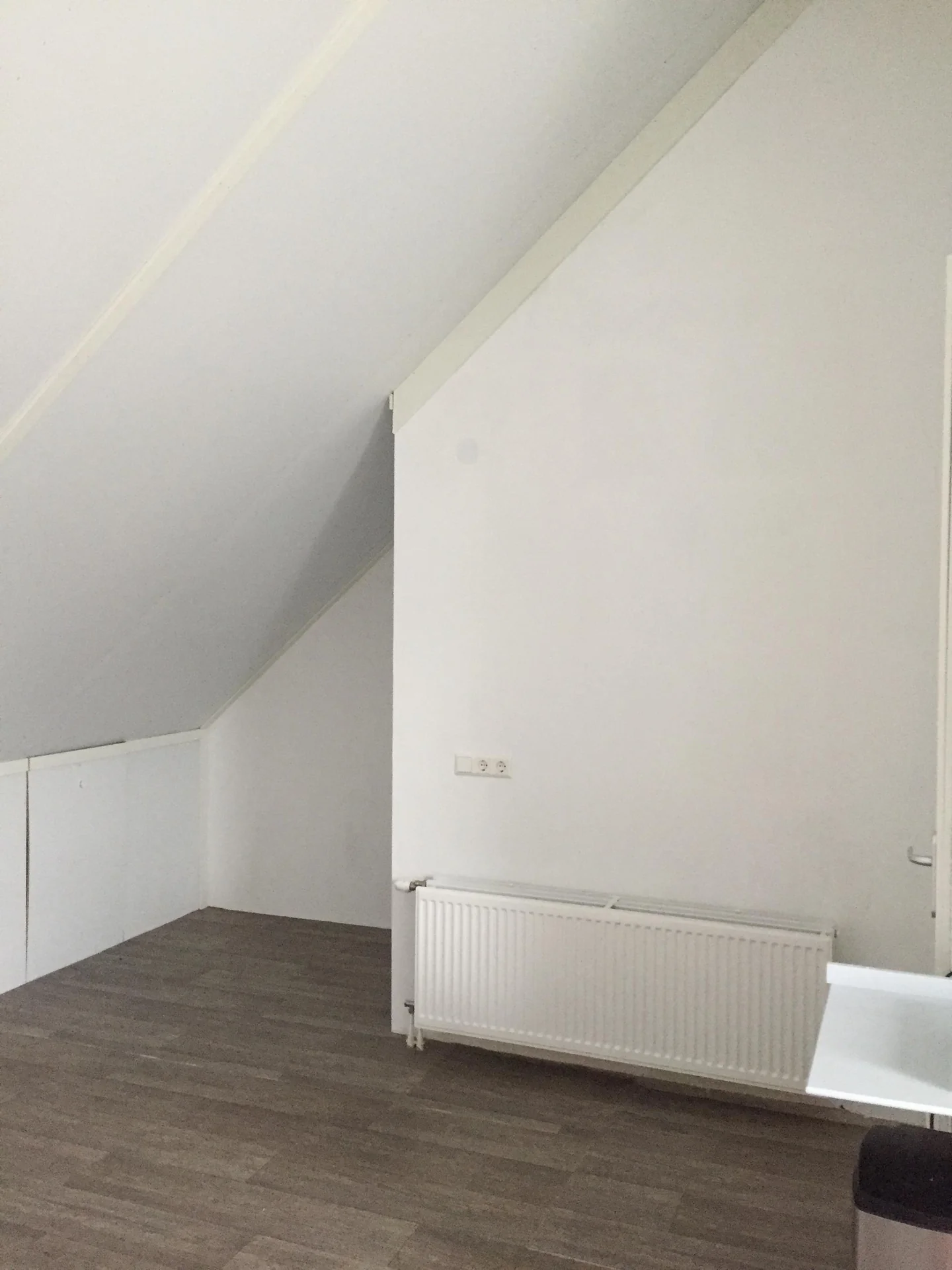 Foto van de Kamer gelegen aan de Leonard Springerlaan in Haarlem