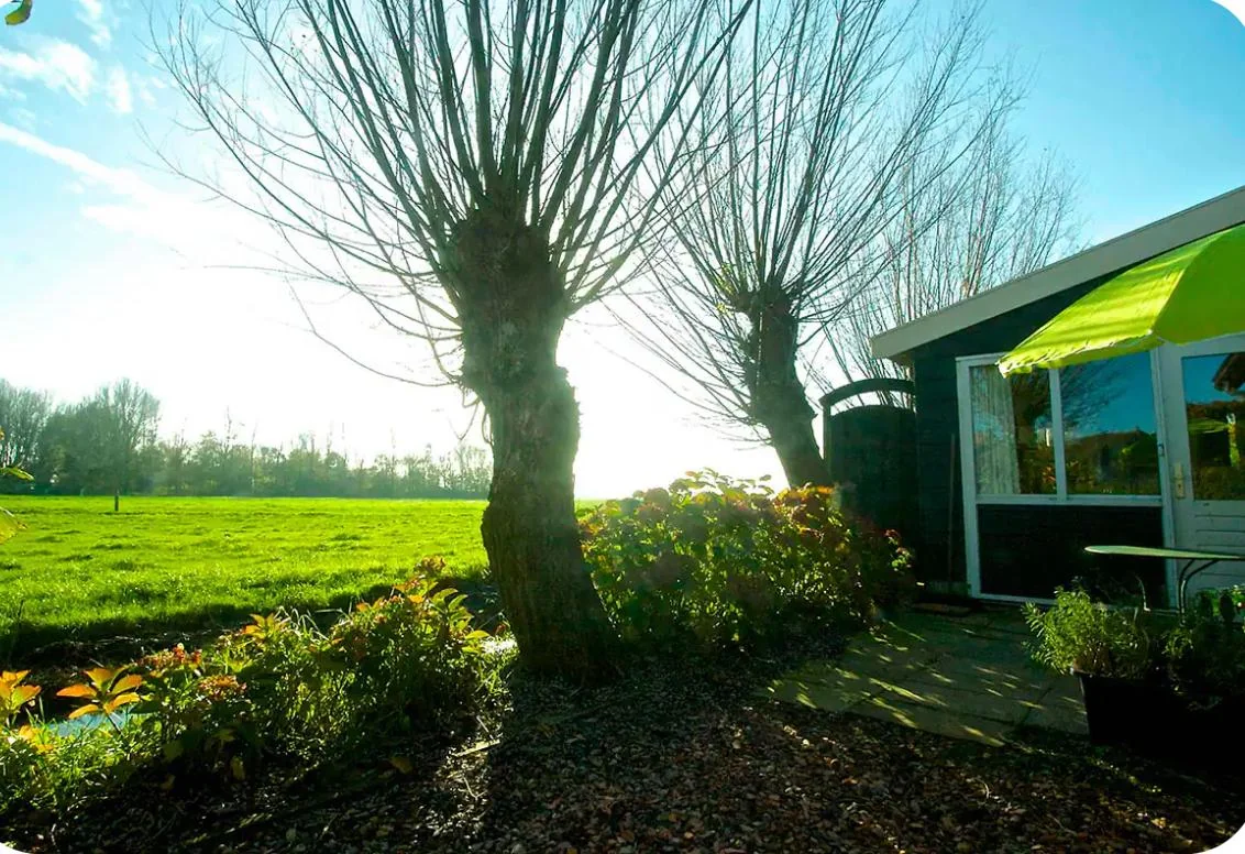 Foto van de Studio gelegen aan de Kloosterdijk in Monnickendam