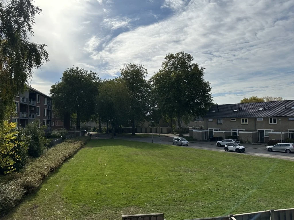 geblurde versie van de foto als achtergrond