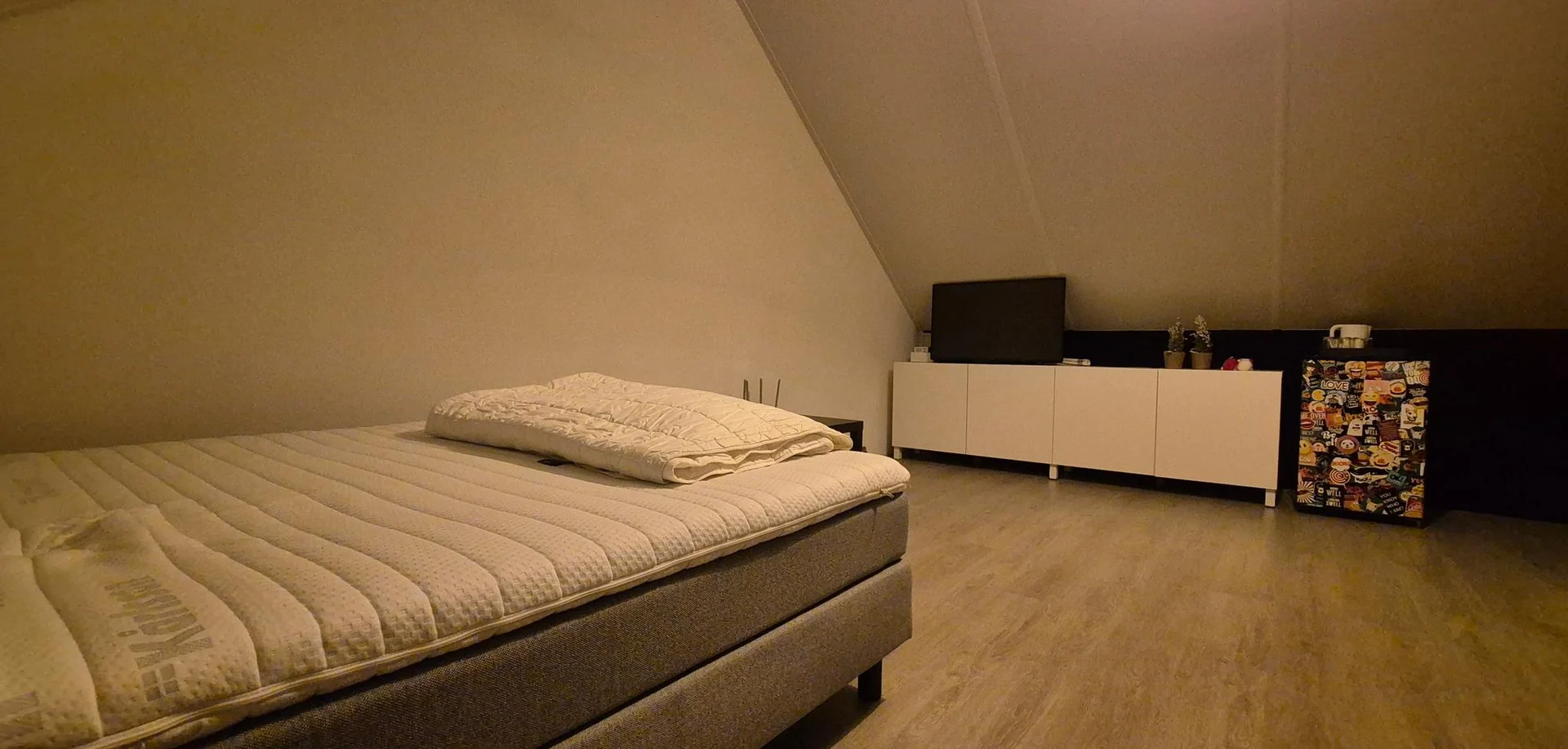 Foto van de Kamer gelegen aan de Derde Oosterparklaan in Utrecht