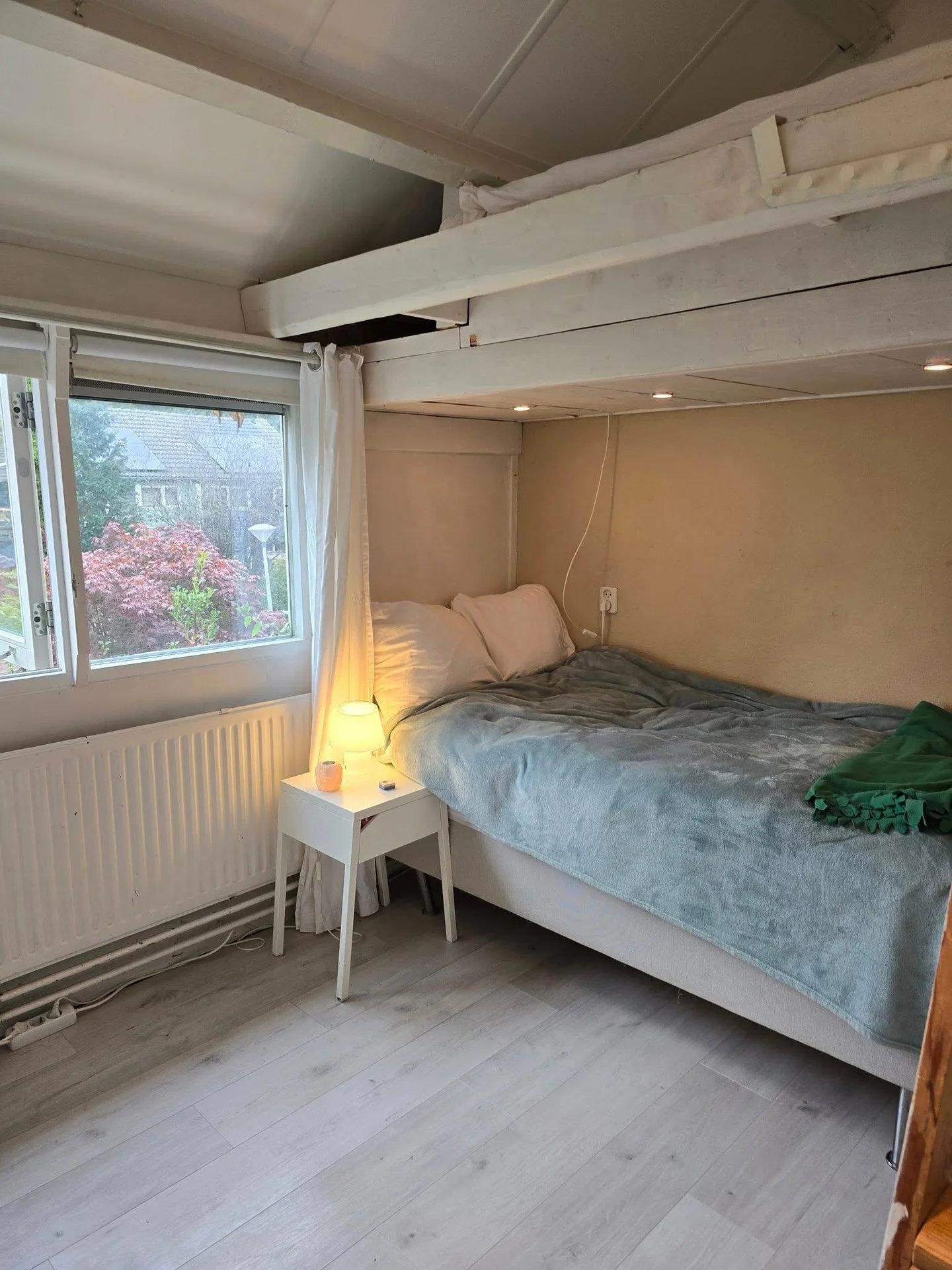 Foto van de Kamer gelegen aan de Speenkruidstraat in Groningen