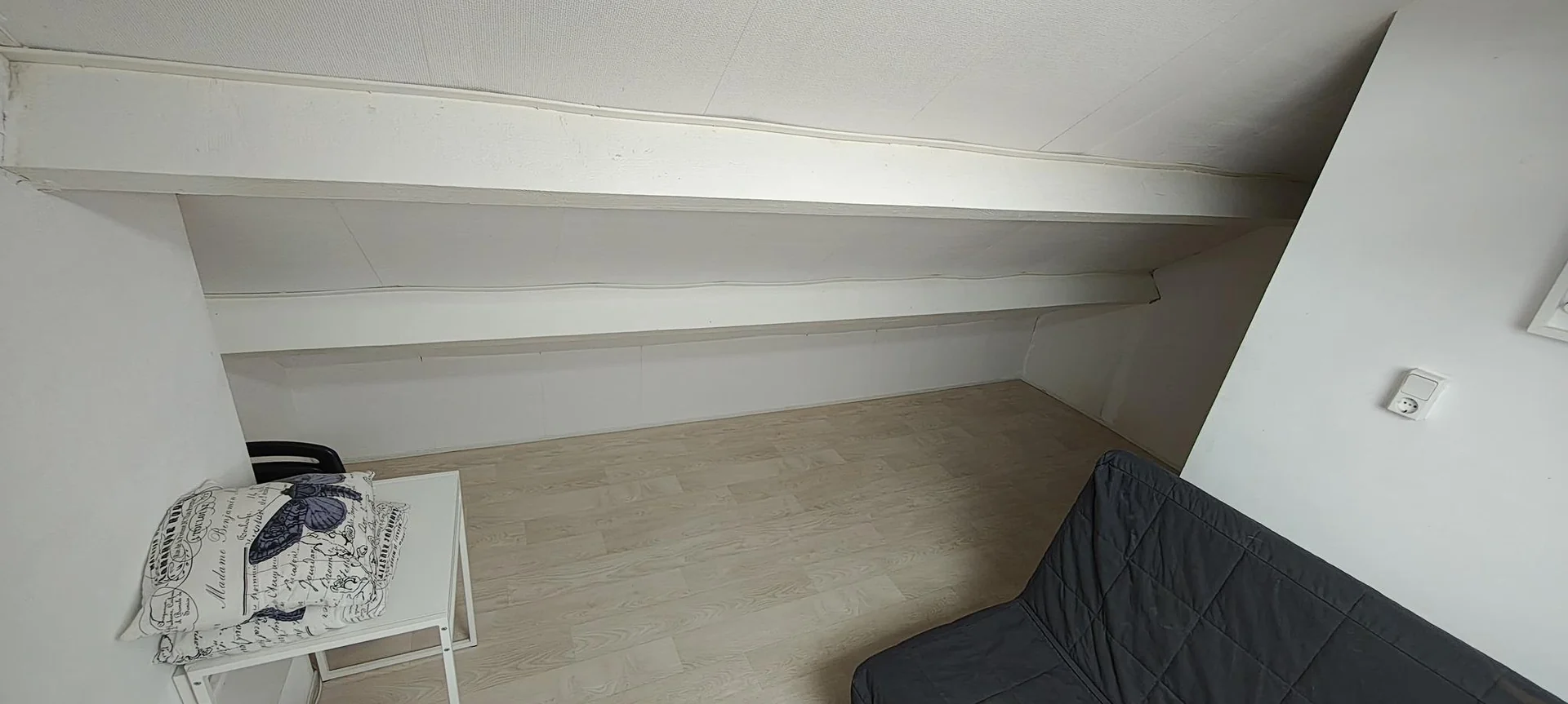 Foto van de Kamer gelegen aan de Prof. Krausstraat in Delft