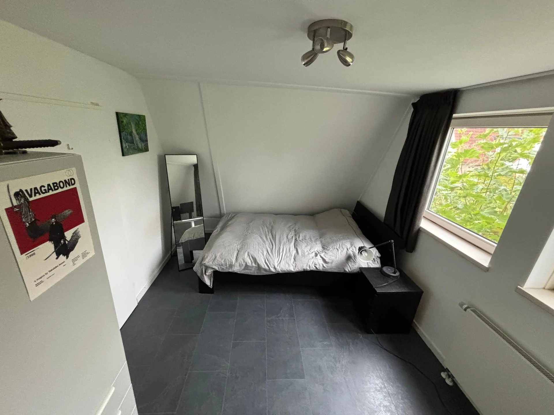 Foto van de Kamer gelegen aan de Werdorperwaard in Odijk