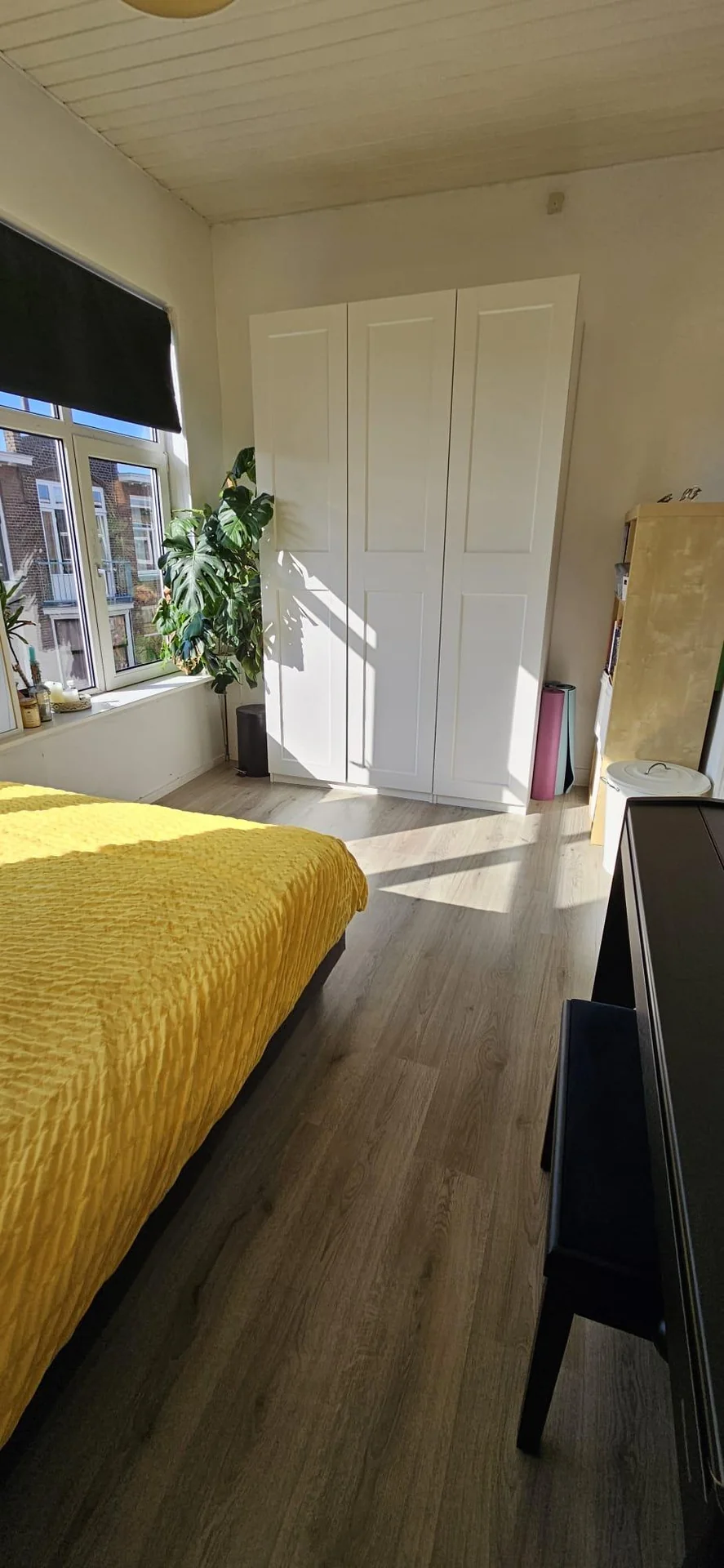 Foto van de Kamer gelegen aan de Nicolaas Tulpstraat in Den Haag