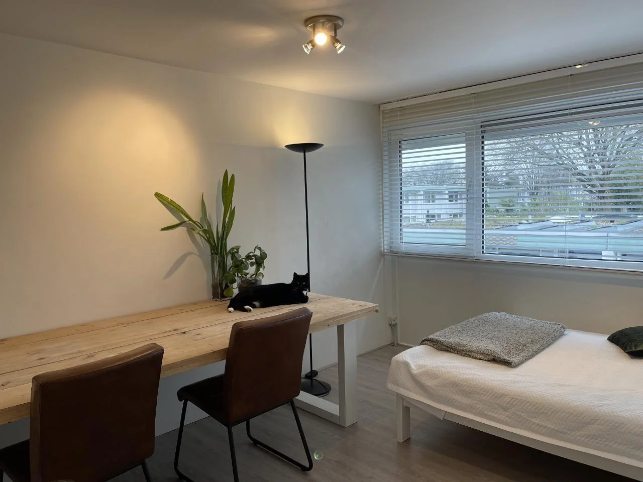 Foto van de Kamer gelegen aan de Kantershof in Amsterdam