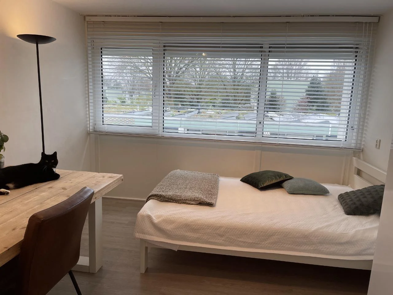 Foto van de Kamer gelegen aan de Kantershof in Amsterdam