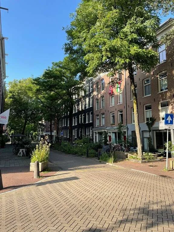 Foto van de Appartement gelegen aan de Frans Halsstraat in Amsterdam