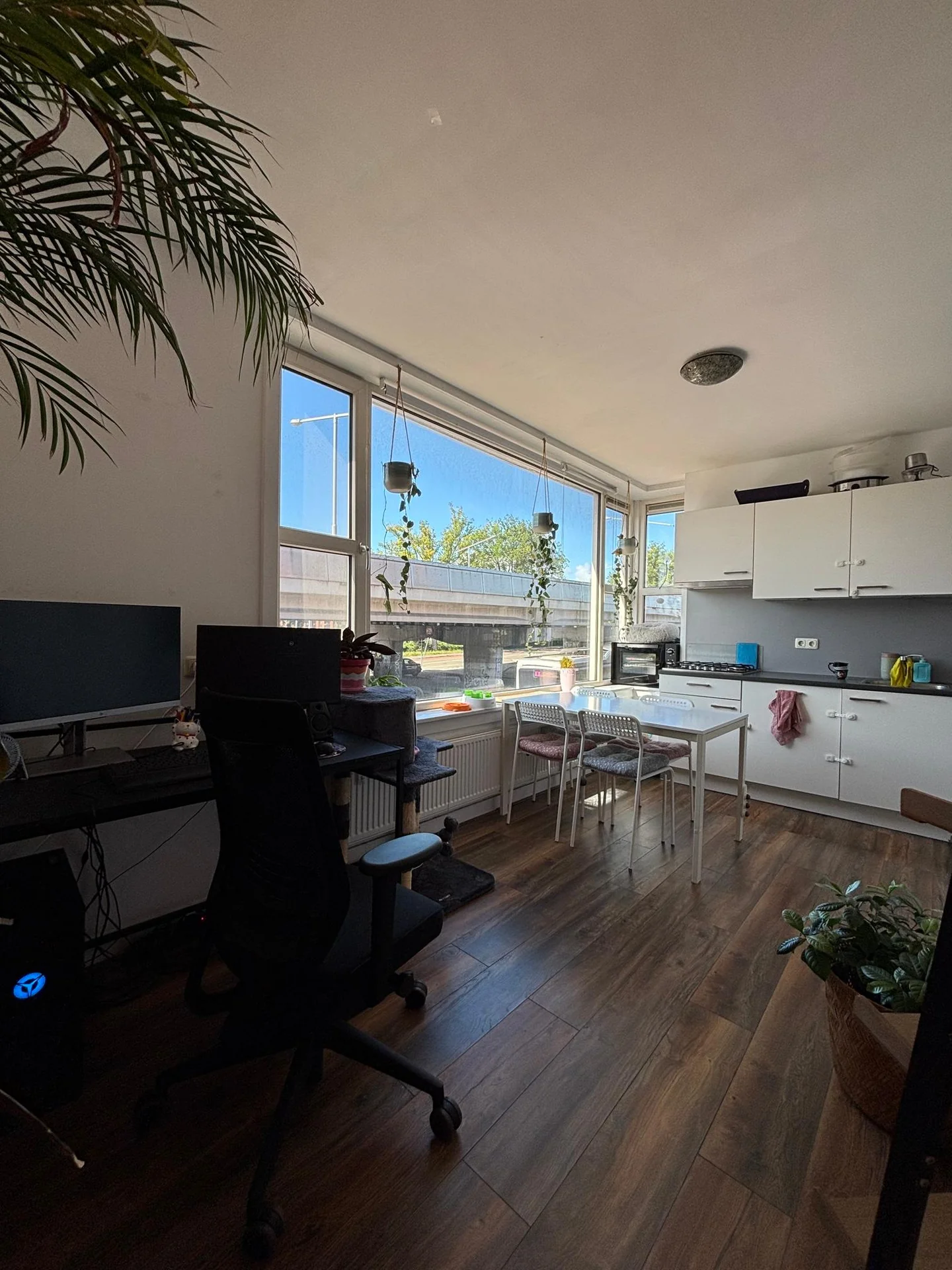 Foto van de Studio gelegen aan de Parkweg in Groningen
