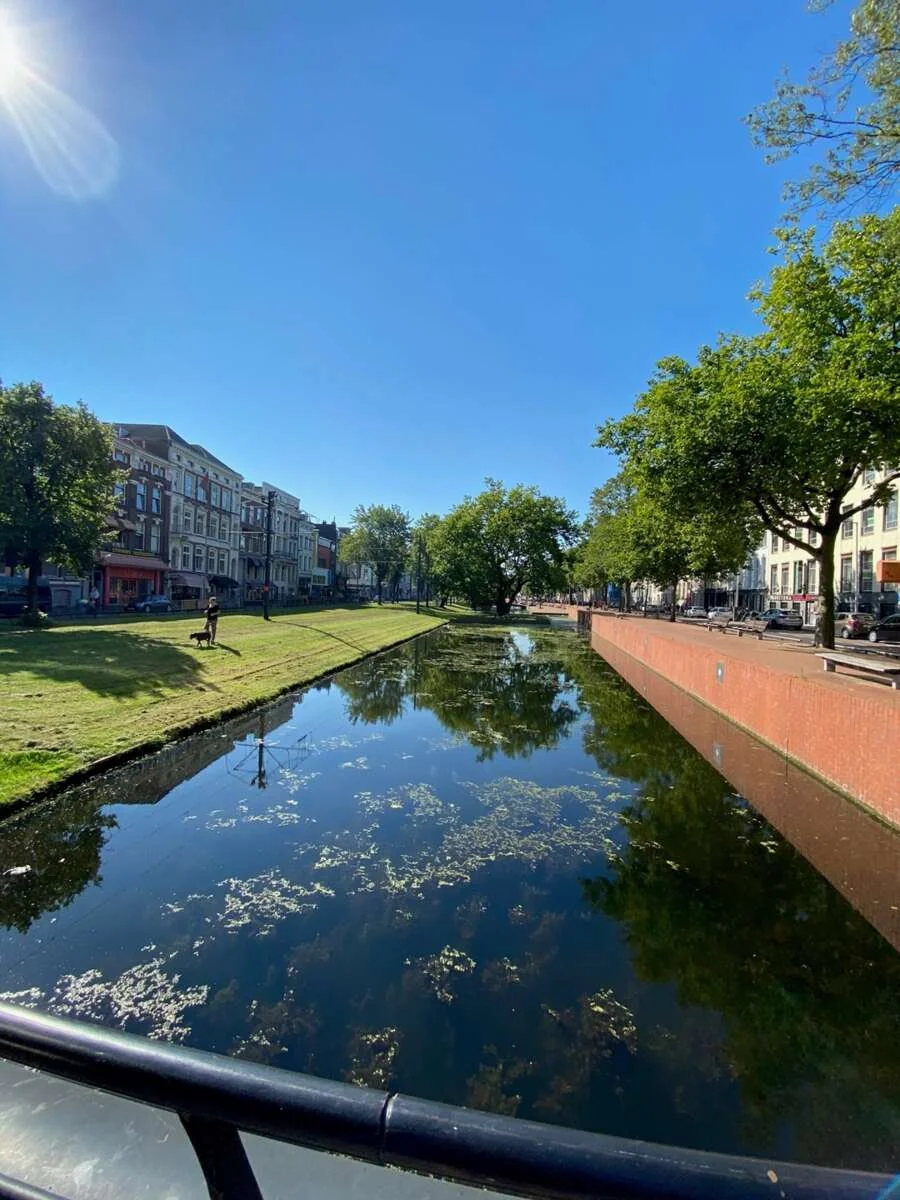 Foto van de Appartement gelegen aan de Mauritsweg in Rotterdam