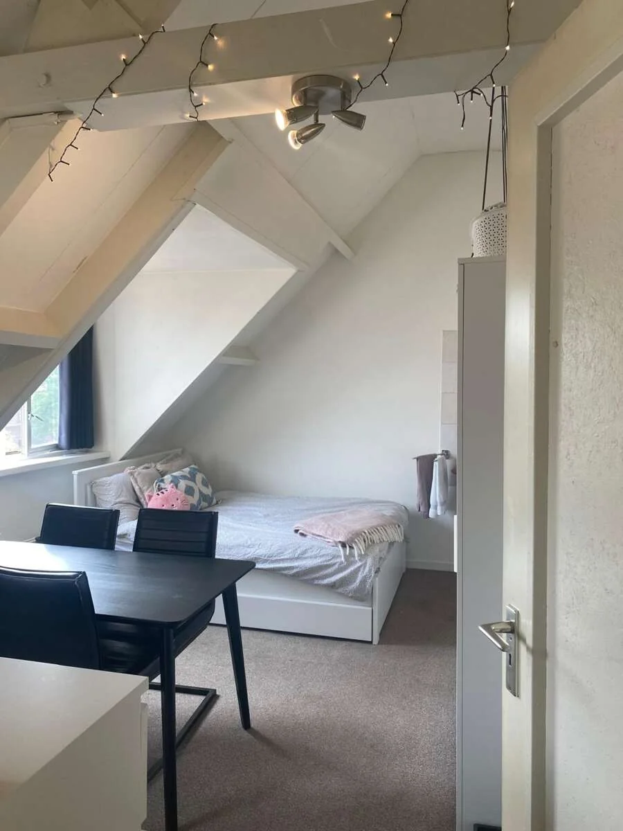 geblurde versie van de foto als achtergrond