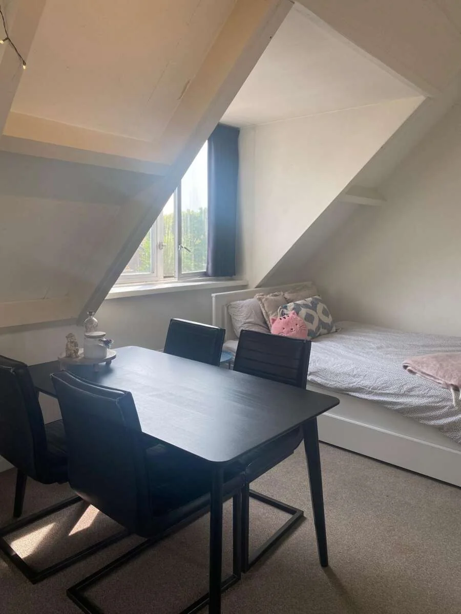 geblurde versie van de foto als achtergrond