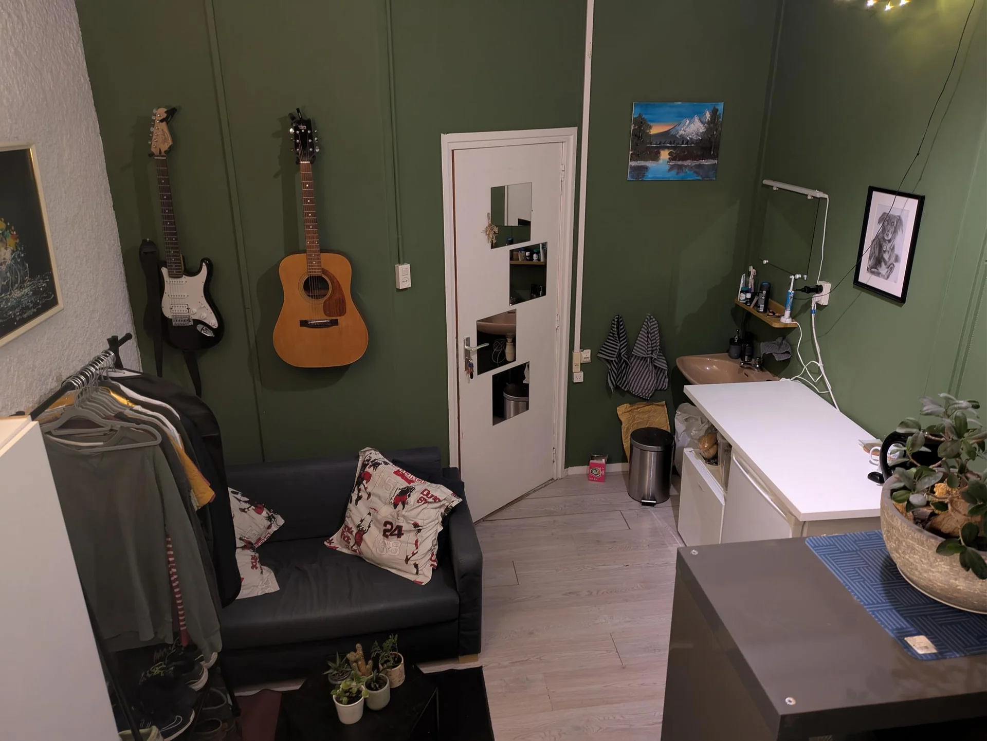 geblurde versie van de foto als achtergrond