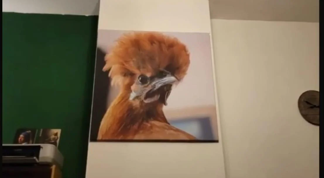 Foto van de Kamer gelegen aan de Julianalaan in Delft