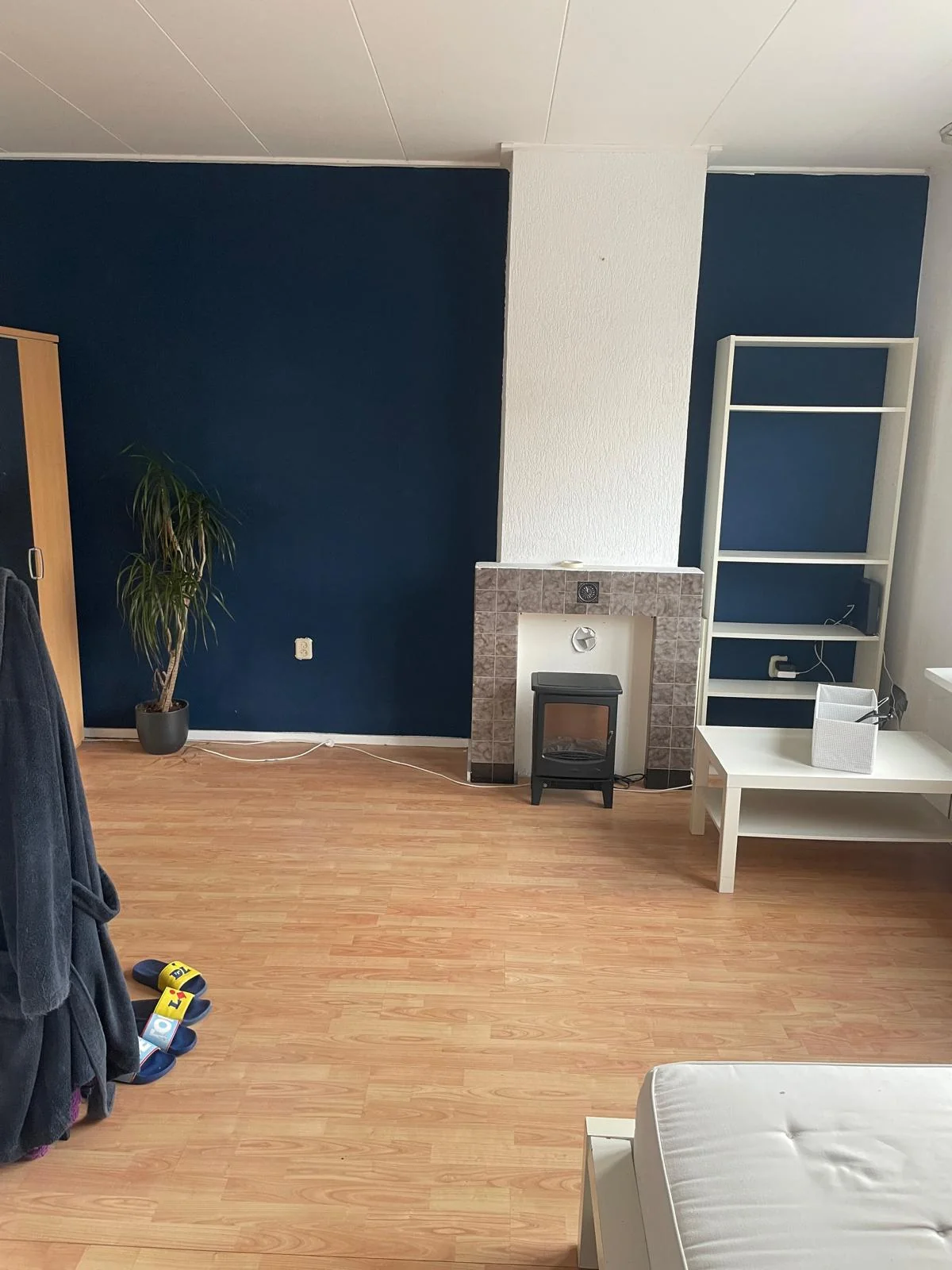 Foto van de Kamer gelegen aan de Nassaulaan in Delft