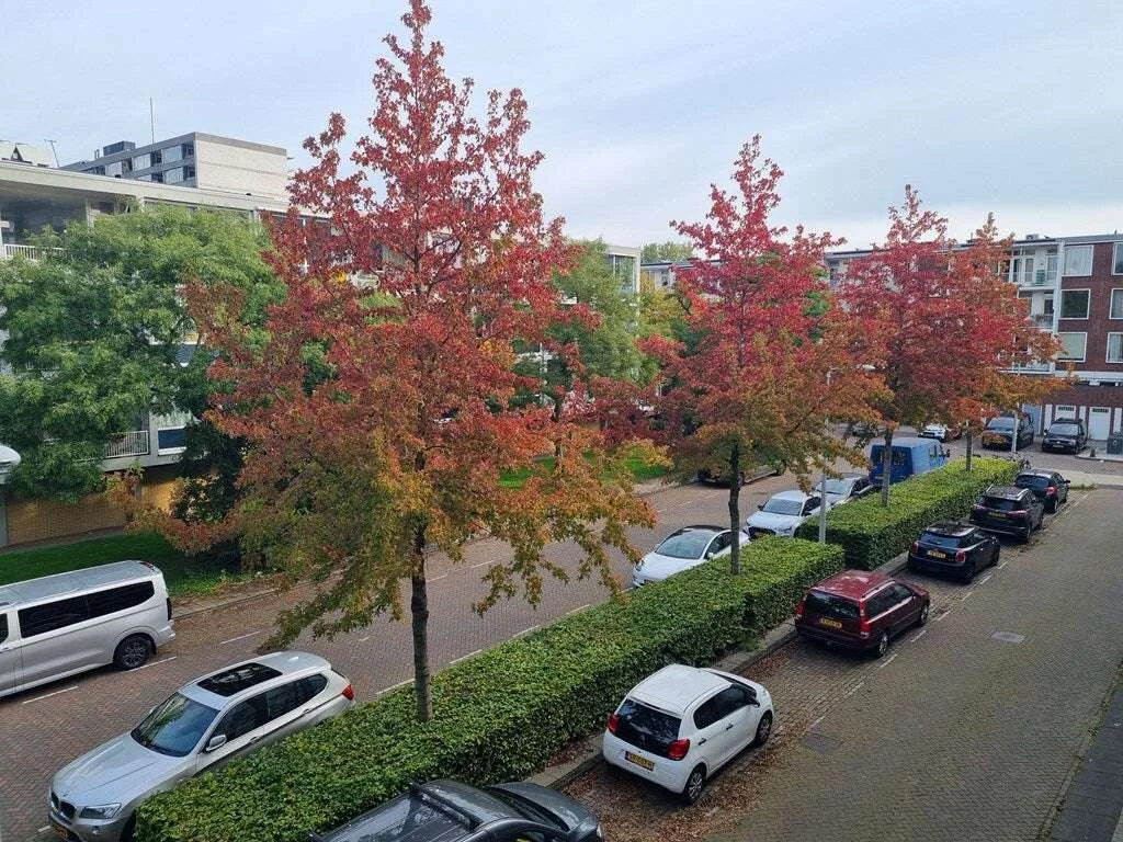 Foto van de Appartement gelegen aan de Dirk Schäferstraat in Amsterdam