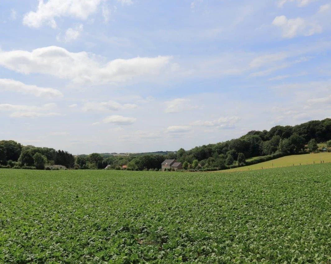 Foto van de Appartement gelegen aan de Hommerterweg in Hoensbroek