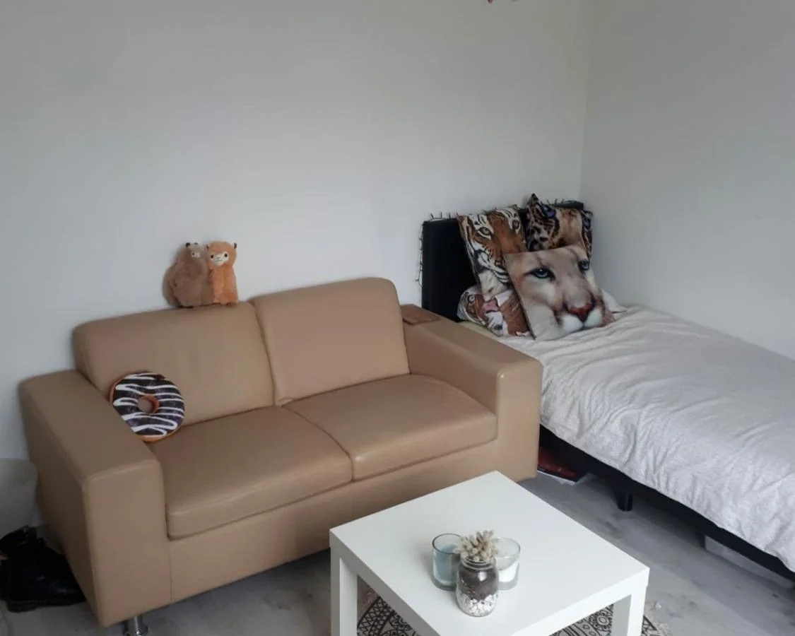 Foto van de Kamer gelegen aan de Amerikalaan in Utrecht