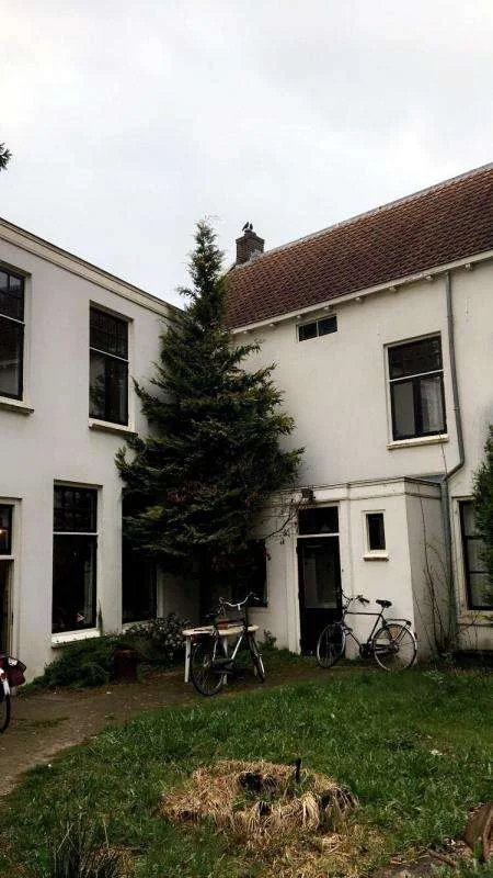 geblurde versie van de foto als achtergrond