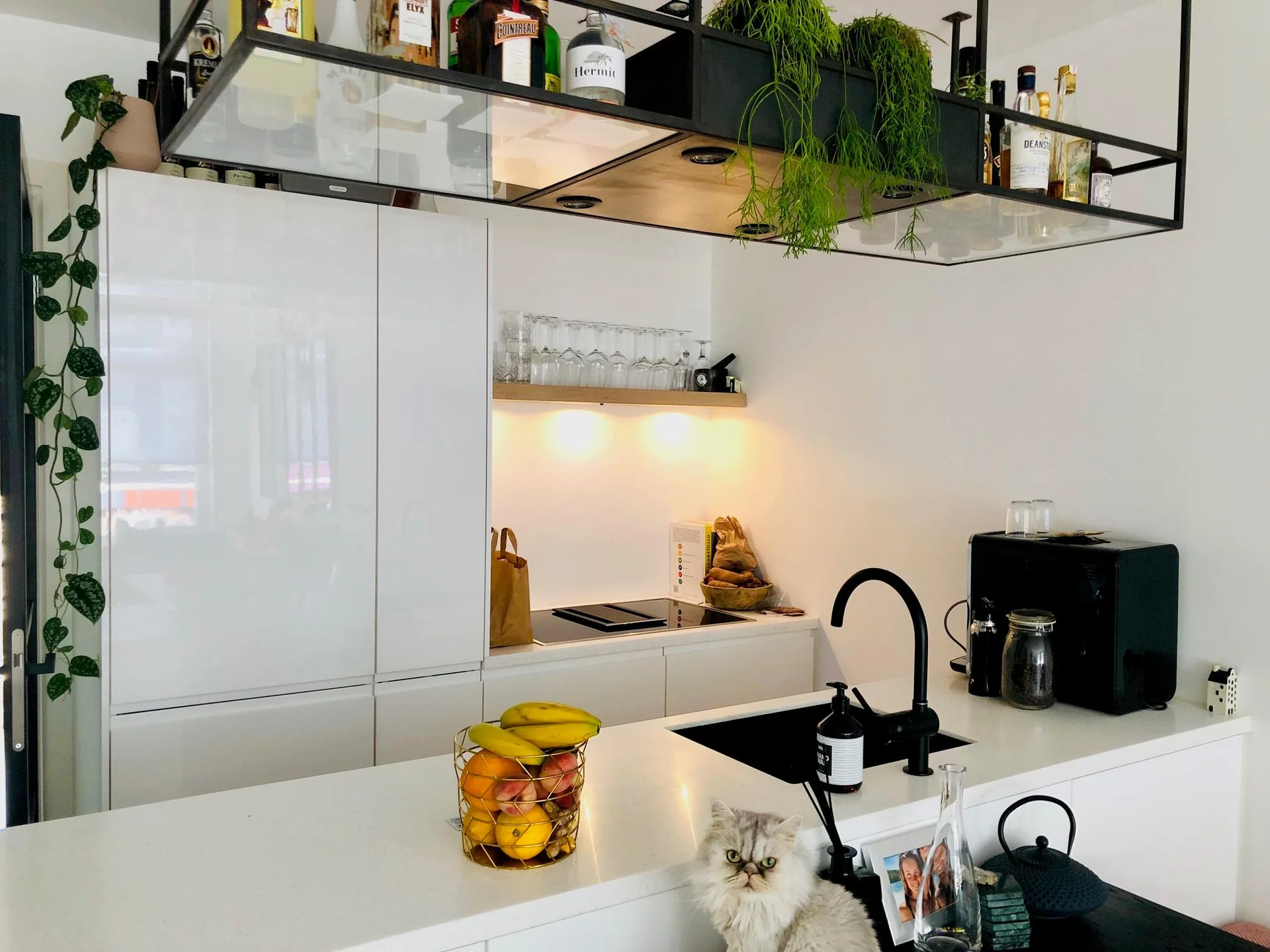 geblurde versie van de foto als achtergrond