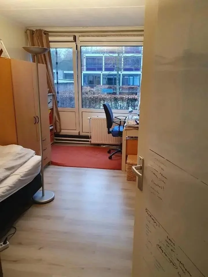 geblurde versie van de foto als achtergrond