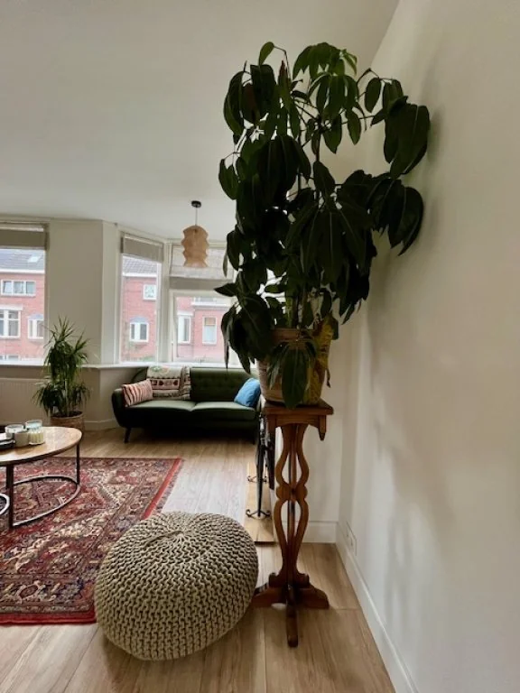 geblurde versie van de foto als achtergrond