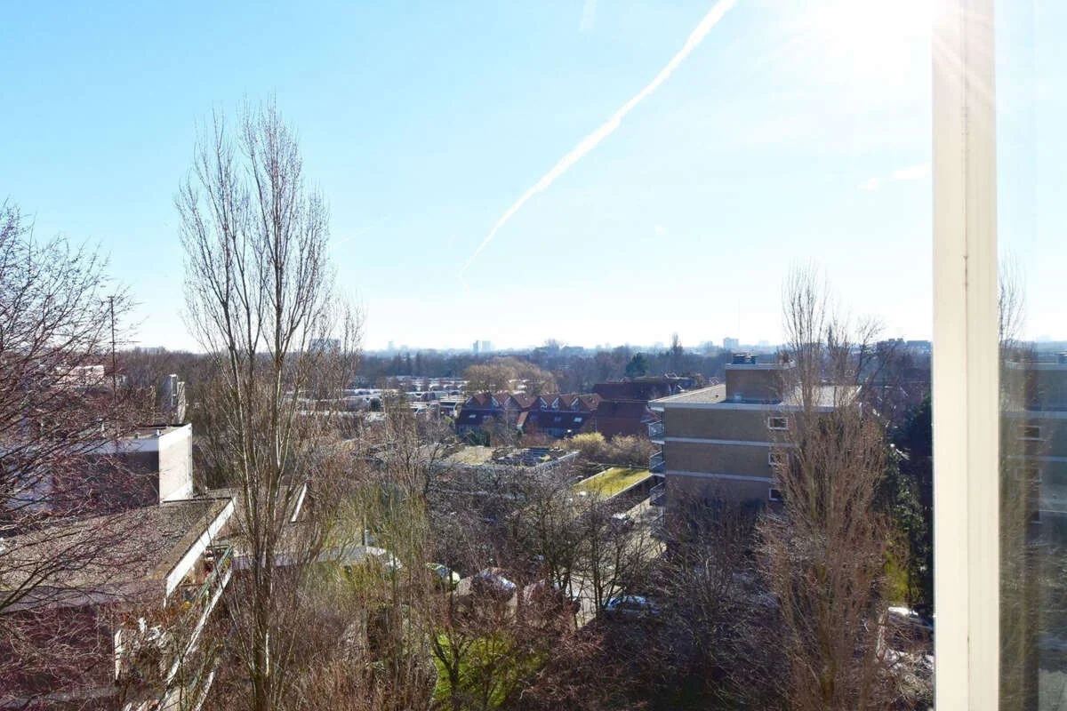 geblurde versie van de foto als achtergrond