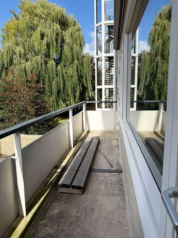 geblurde versie van de foto als achtergrond