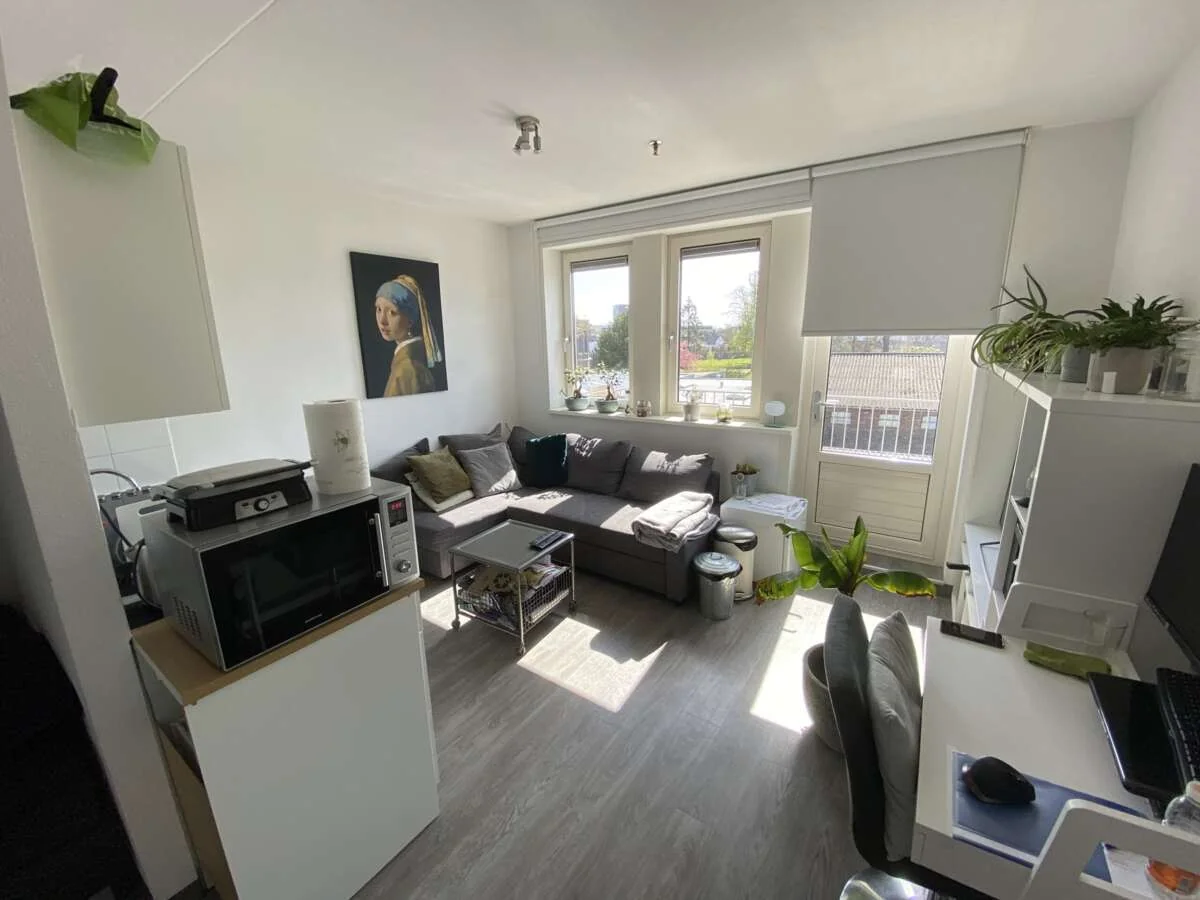 geblurde versie van de foto als achtergrond