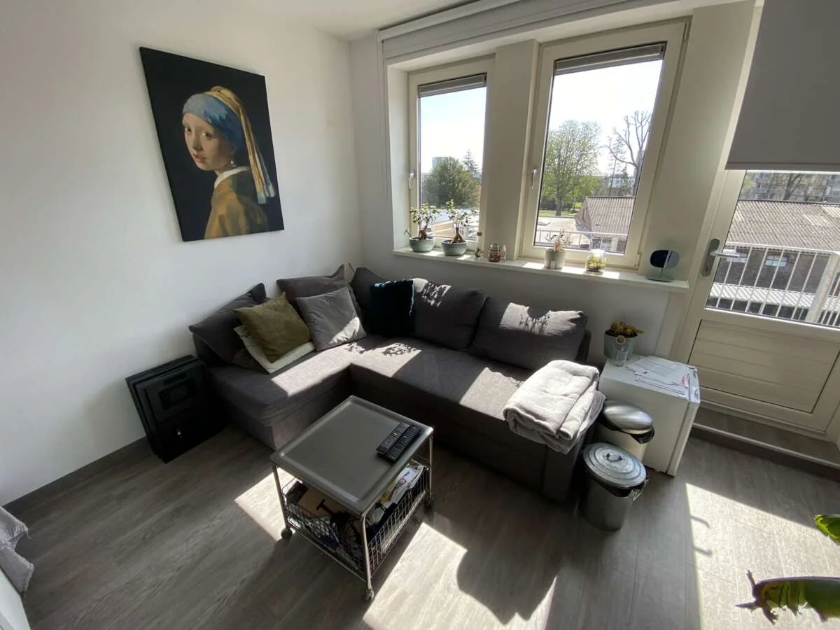 geblurde versie van de foto als achtergrond