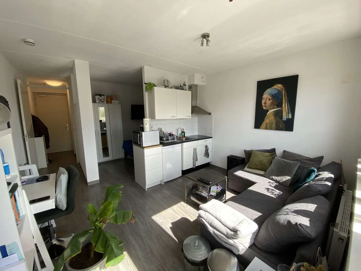 geblurde versie van de foto als achtergrond