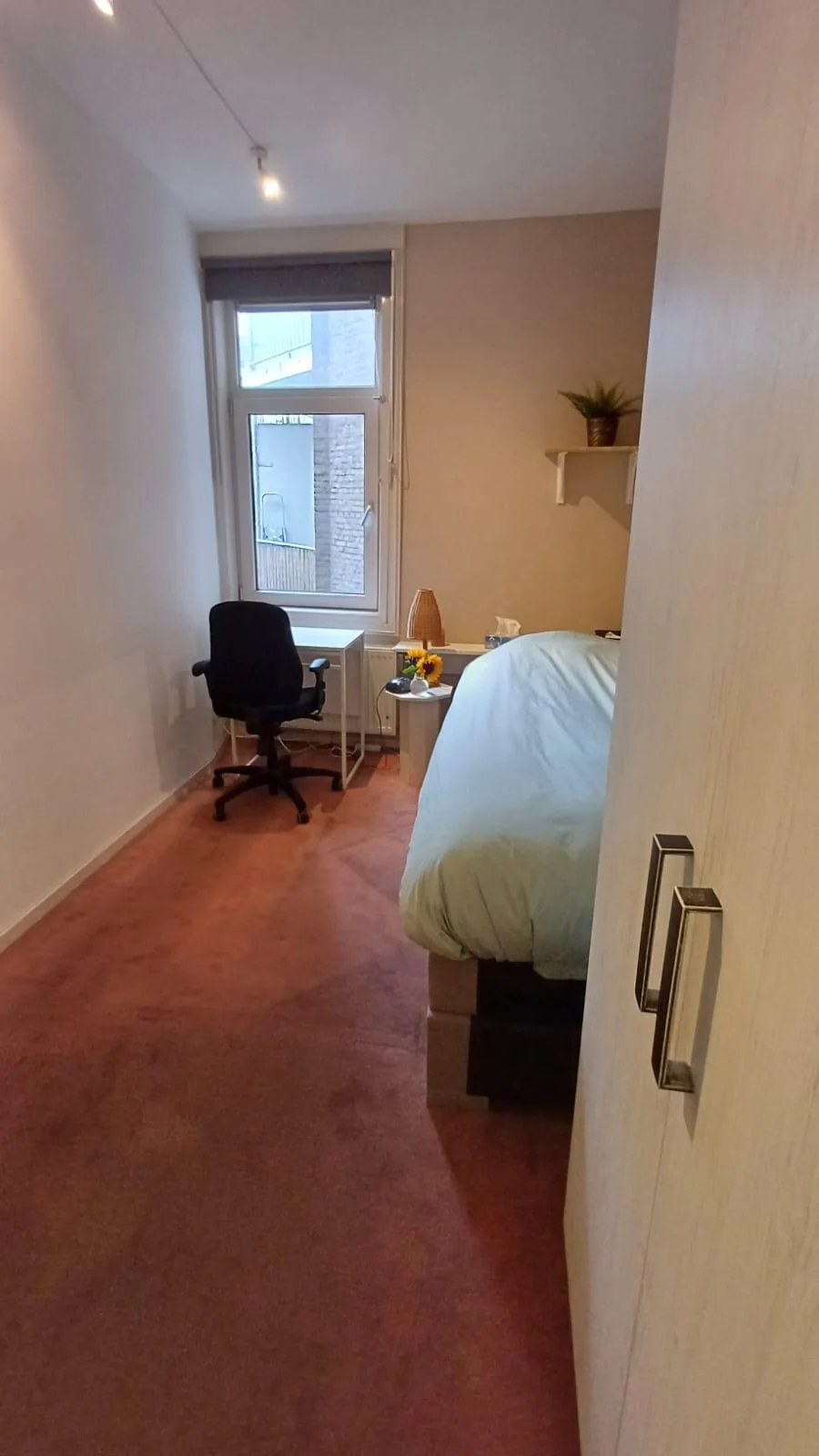 geblurde versie van de foto als achtergrond