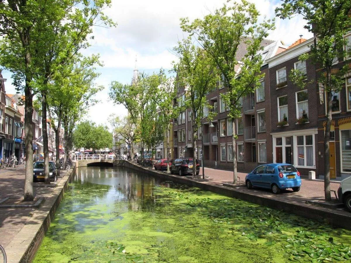 geblurde versie van de foto als achtergrond