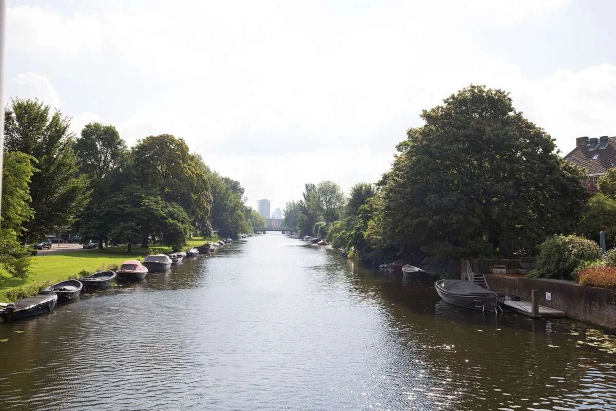 geblurde versie van de foto als achtergrond