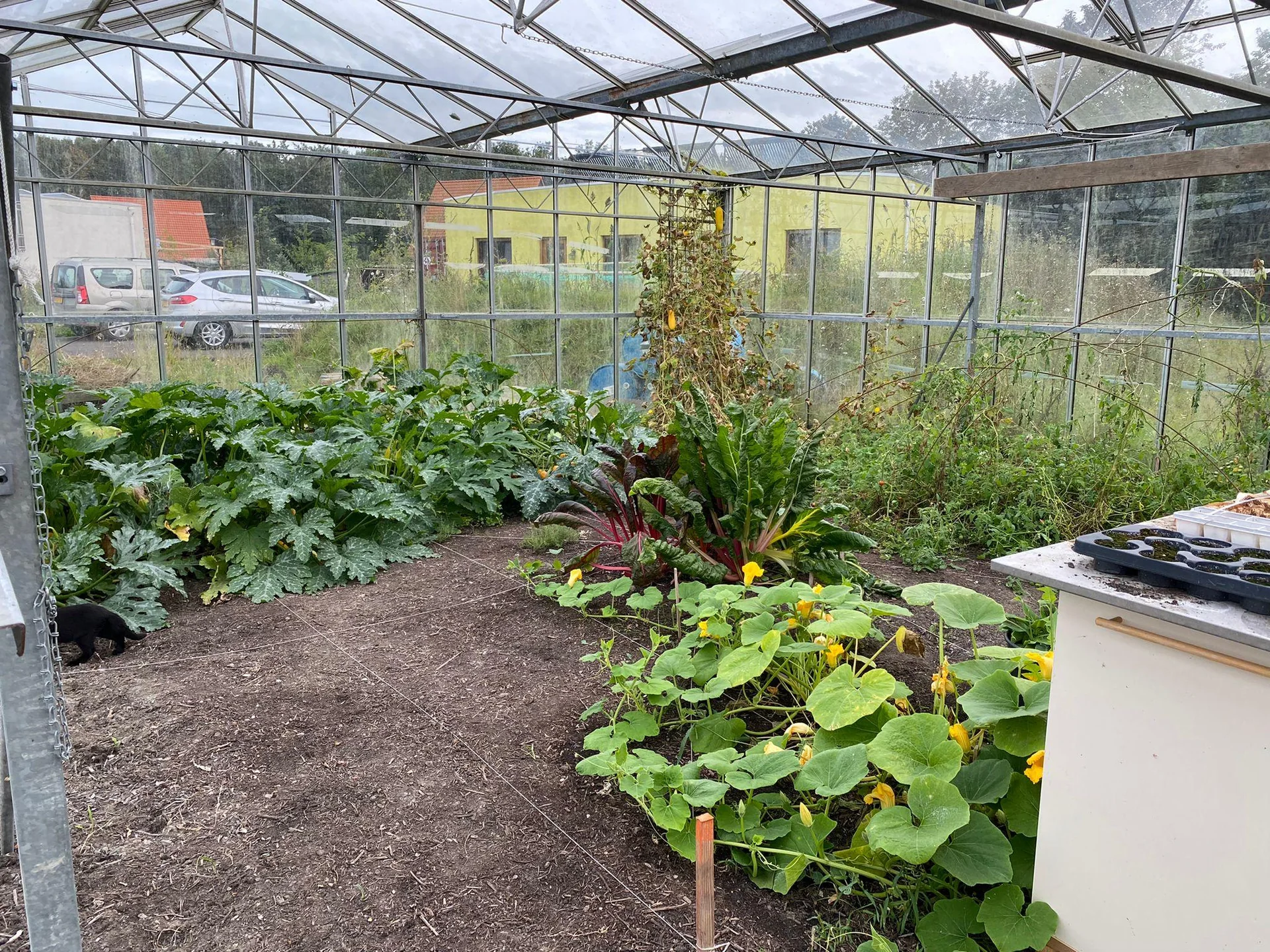 geblurde versie van de foto als achtergrond