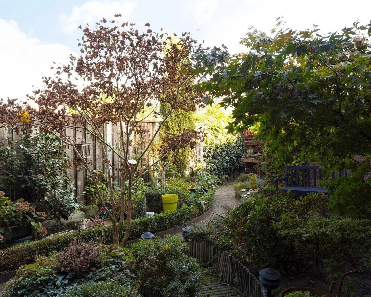 geblurde versie van de foto als achtergrond