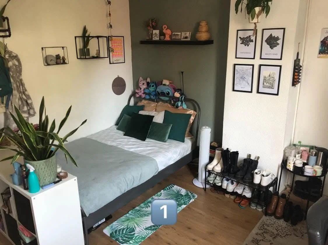 geblurde versie van de foto als achtergrond