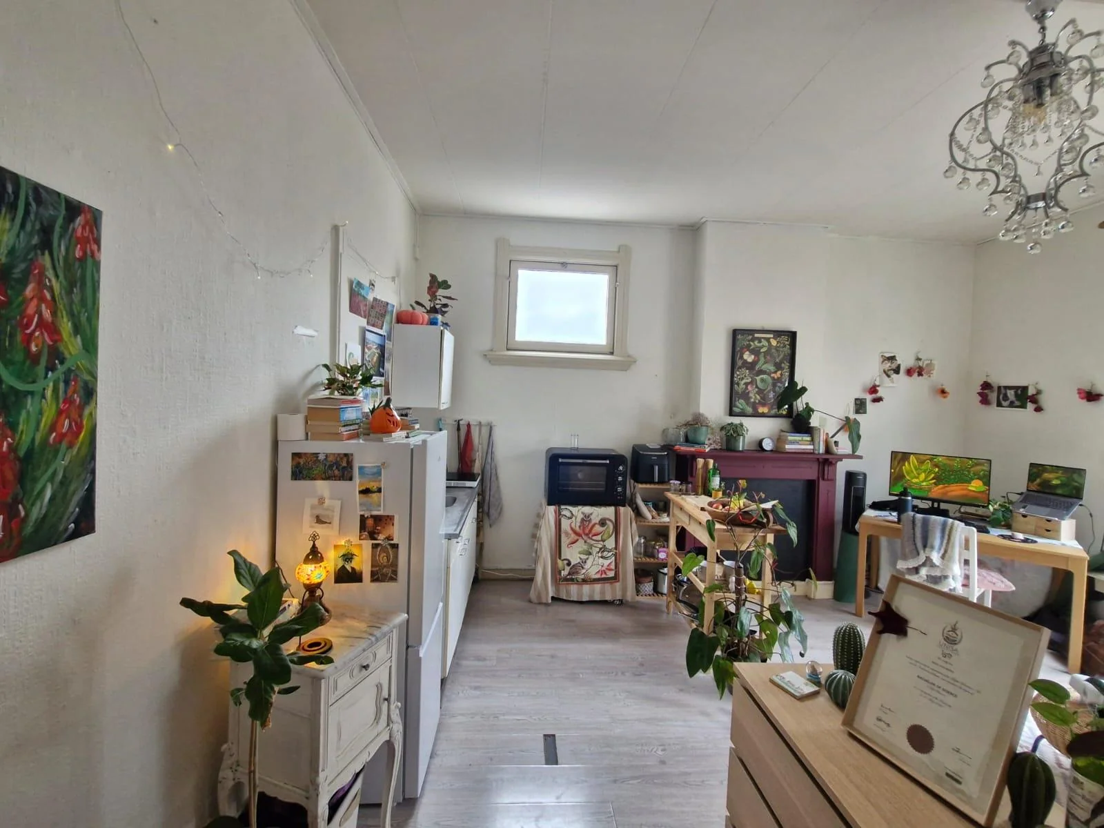 geblurde versie van de foto als achtergrond