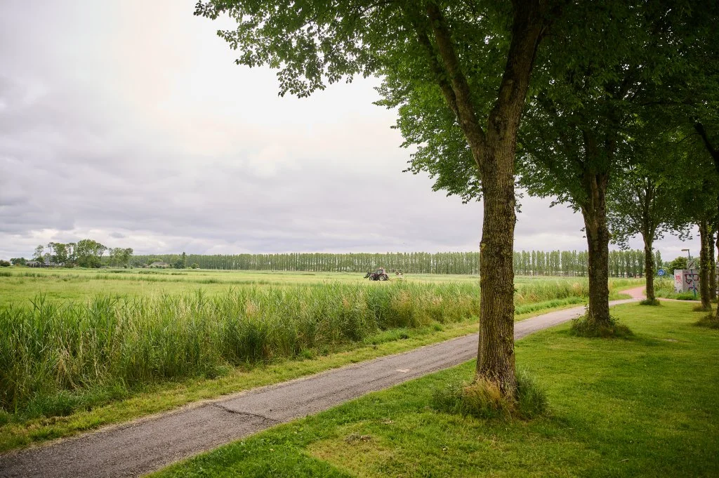 geblurde versie van de foto als achtergrond